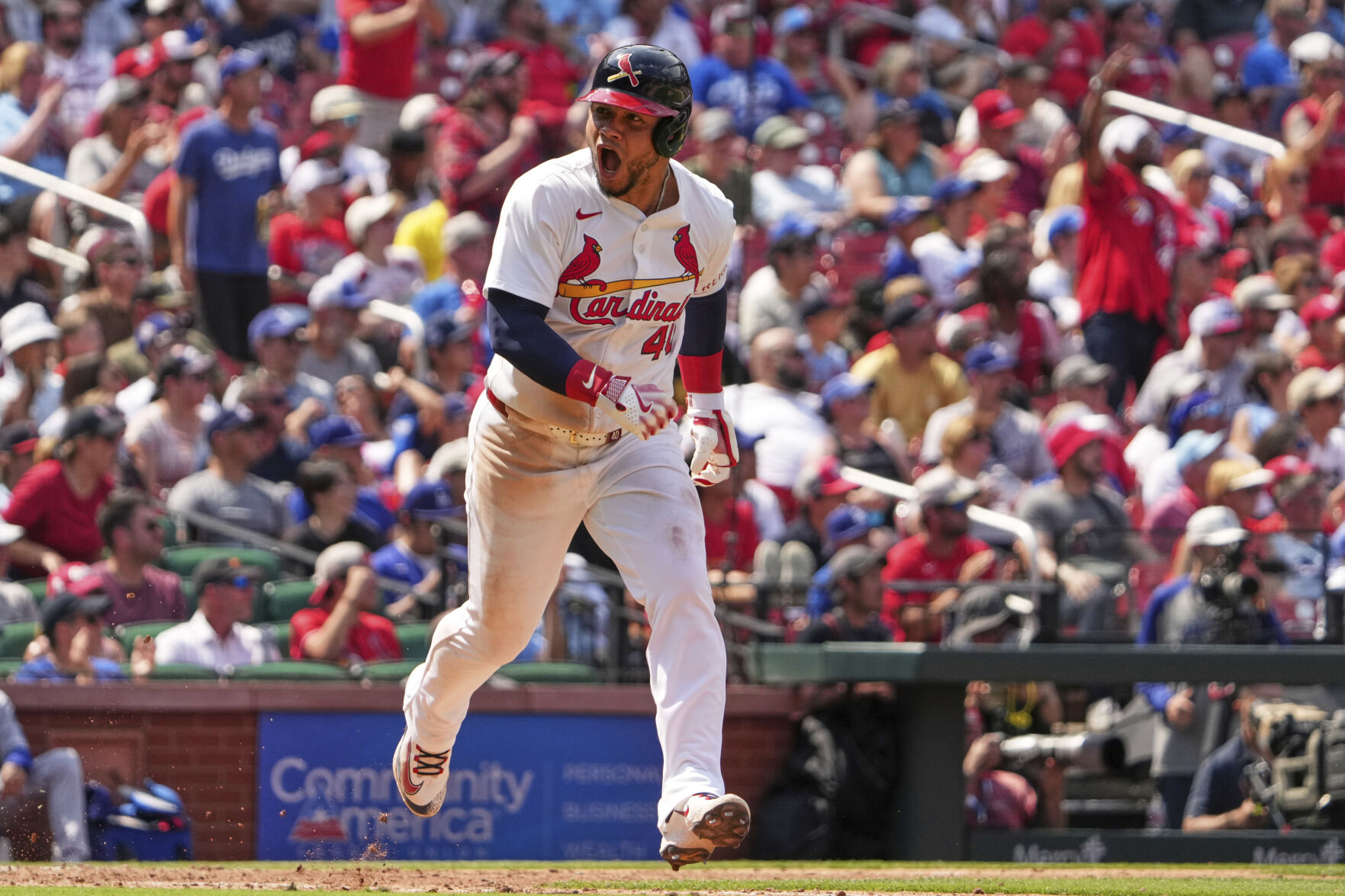 Dodgers Cardinals Baseball